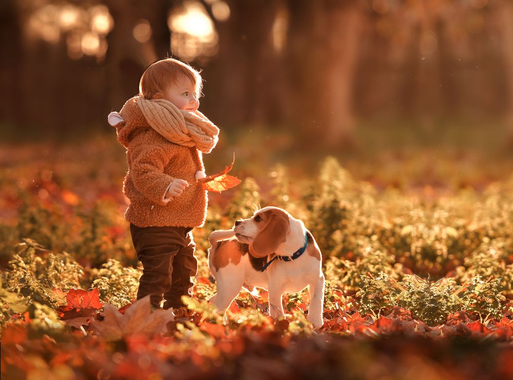 Photograph by Pau Vincent