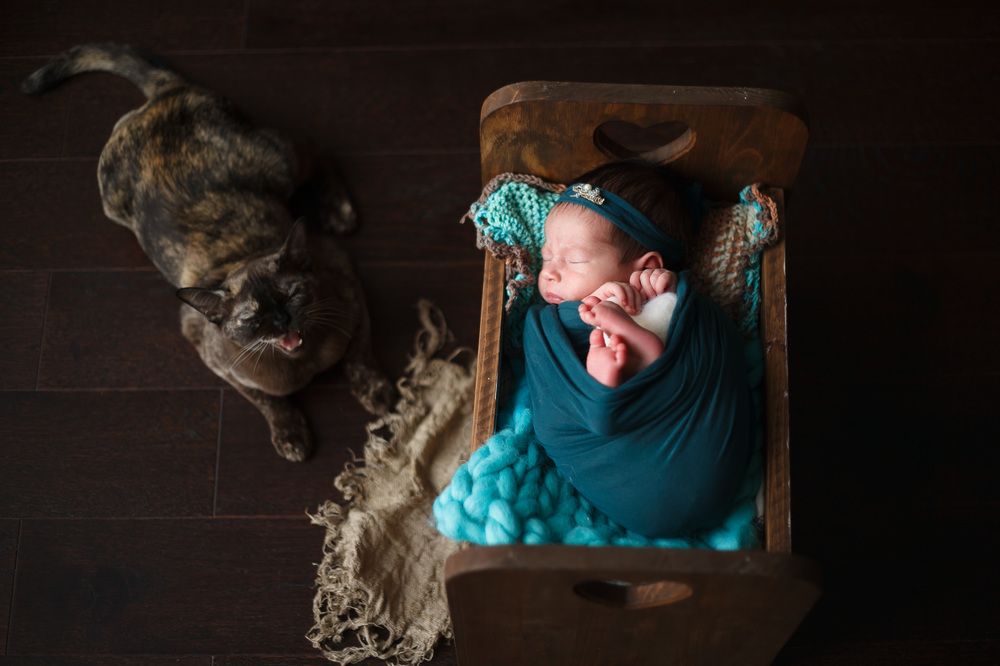 Хранитель снов