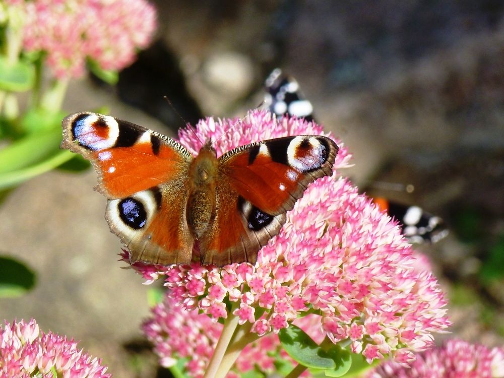 Photograph by Lora Skobeleva