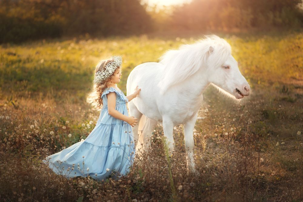 Моя лошадка!