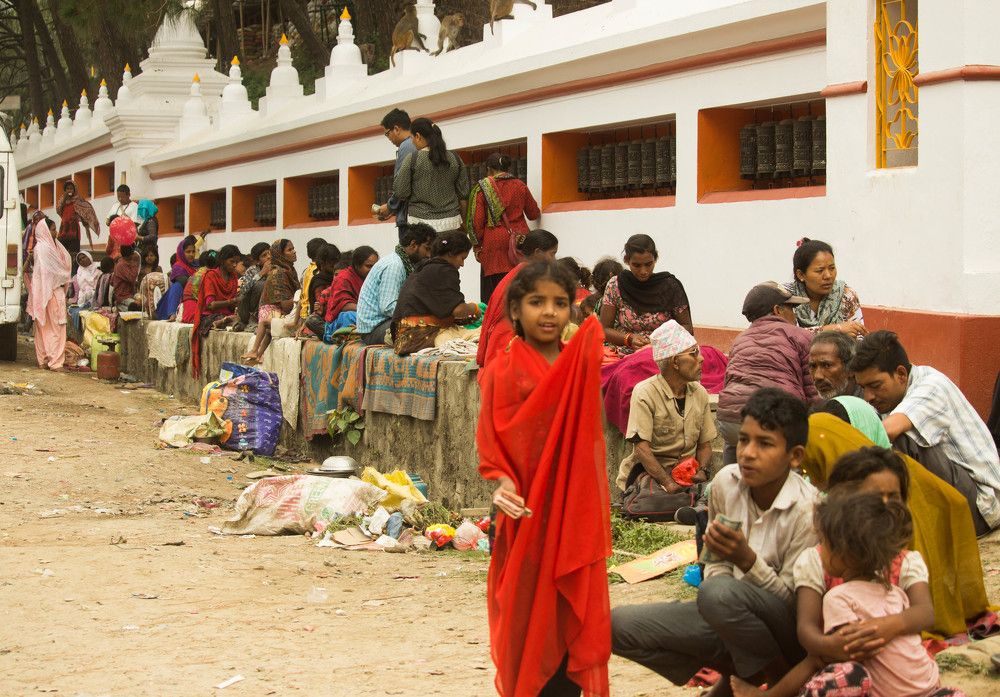 people's survival markey