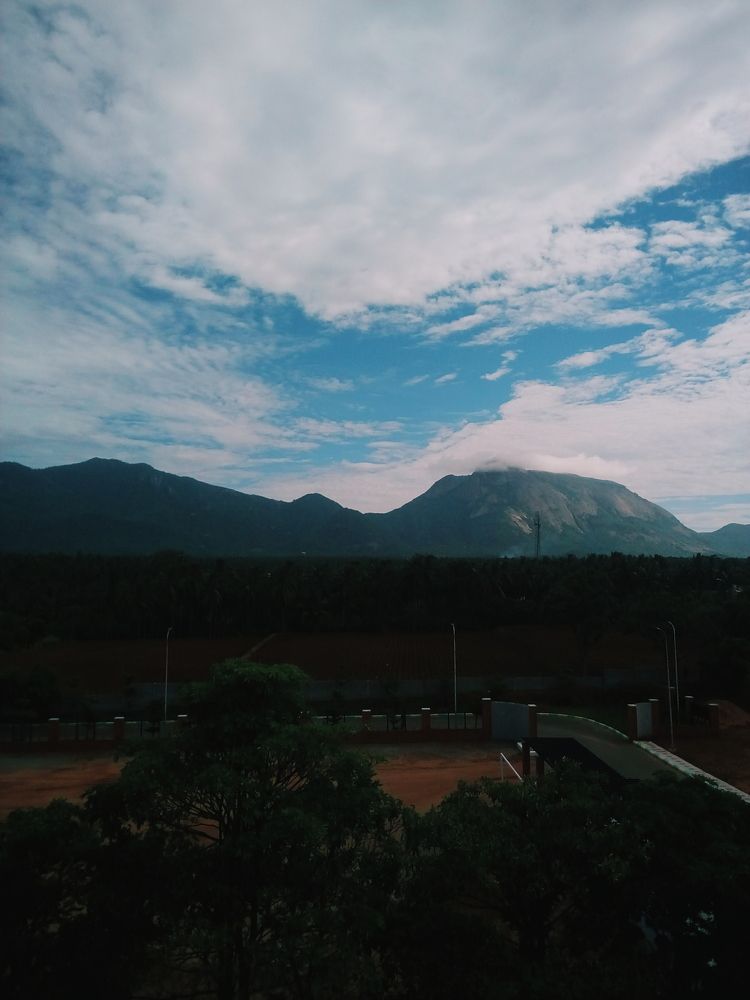 Nature's beauty