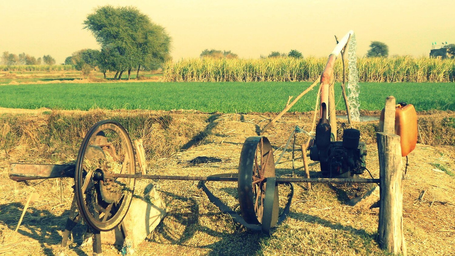 View Of Village Fields