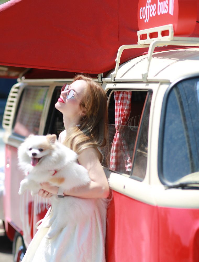 the lady with the dog