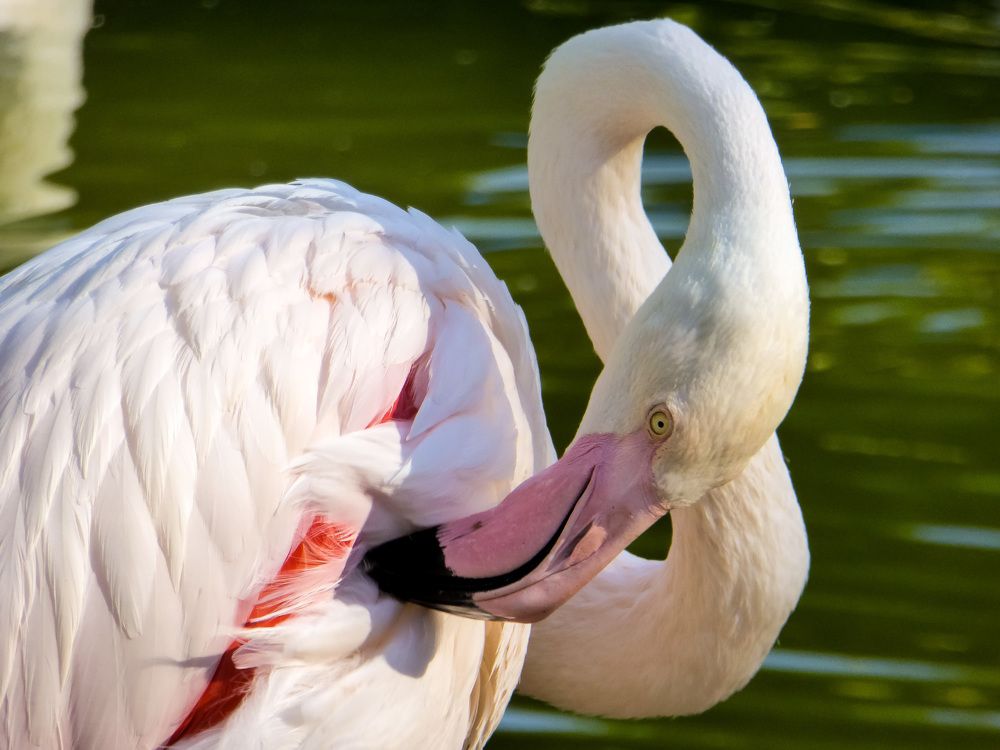 Восьмёрка .