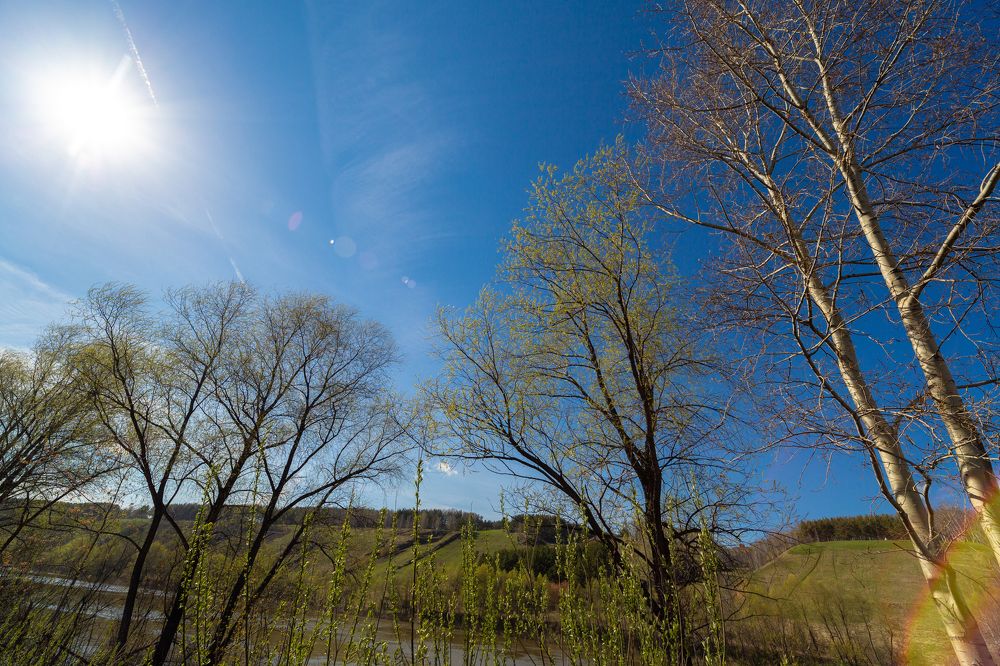 Весенние лучи