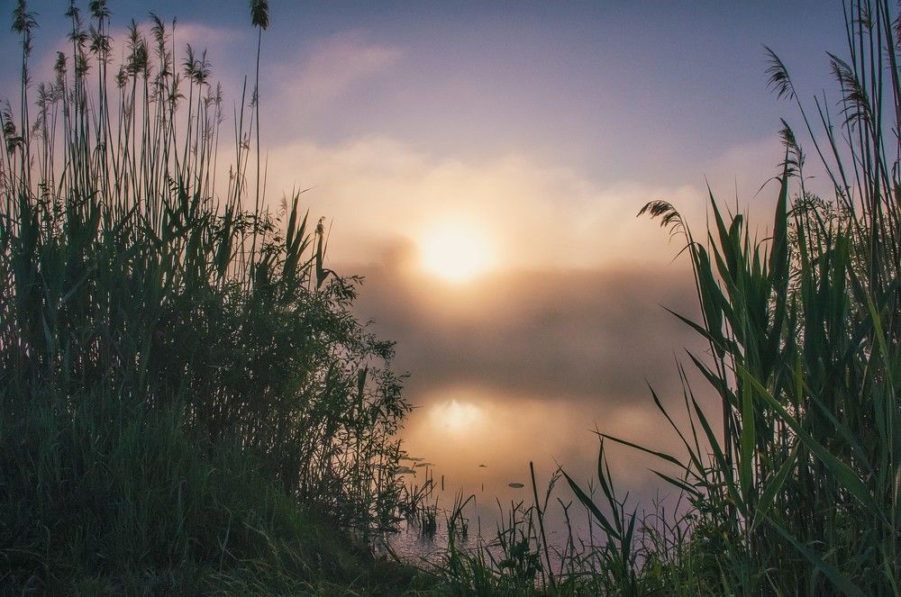 Перламутровый рассвет