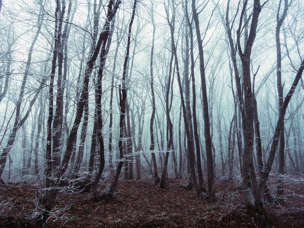 Туманный день на горе Машук