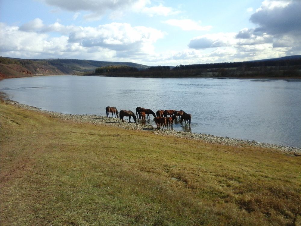 Photograph by Александр Лагерев