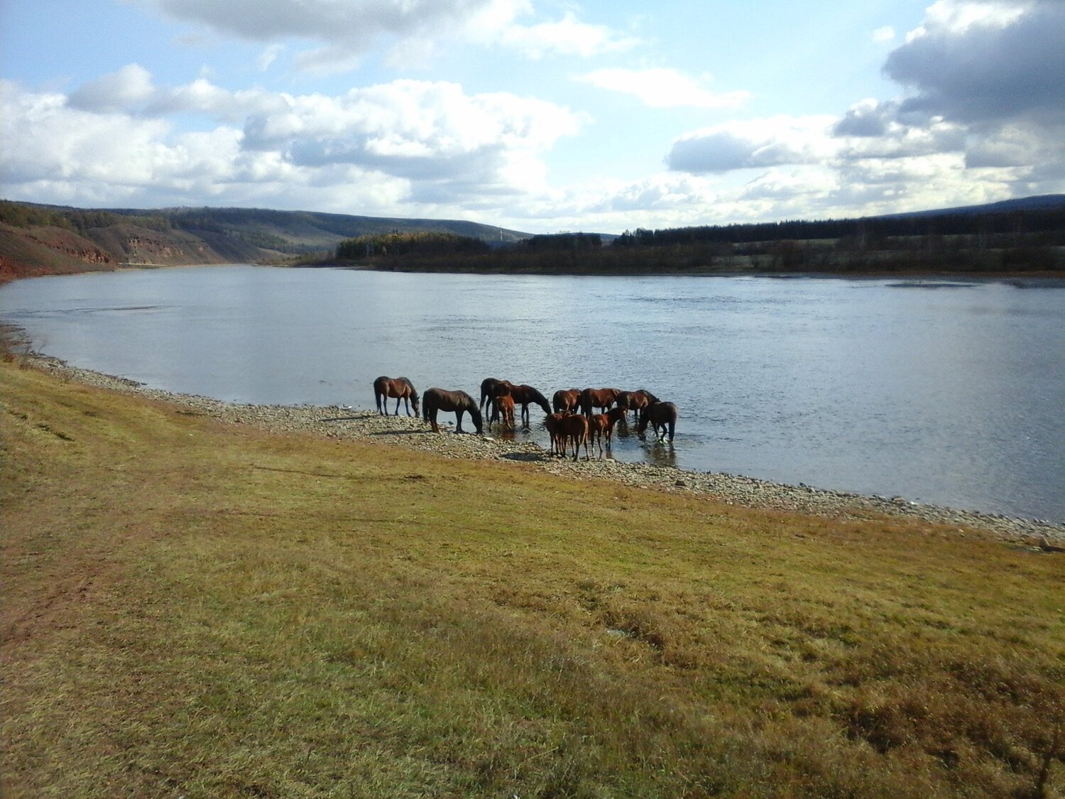 Photo #2369388