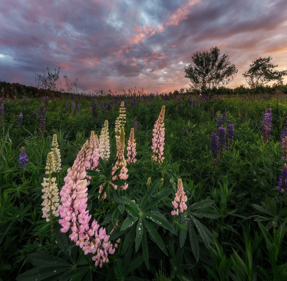 После дождя