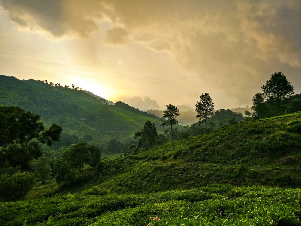 Sunset in Nilgiris