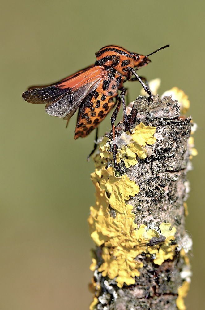 Photograph by Игорь Осипов