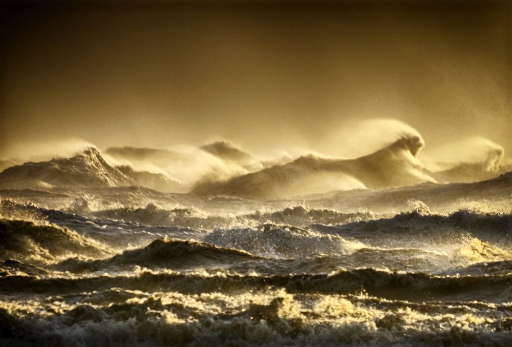 Коны Посеидона...