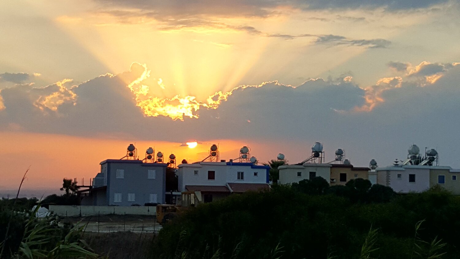 Photo #2369930