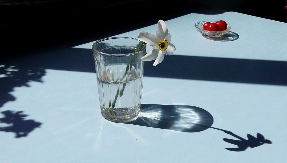 Аромат весеннего утра