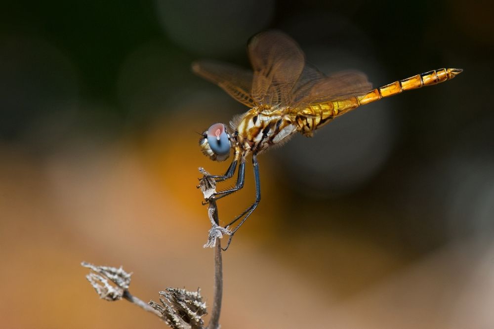 Уходящее лето