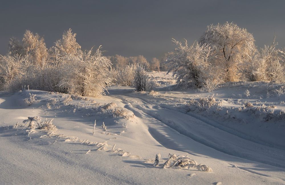 Зимний,почти вечерний,пейзаж