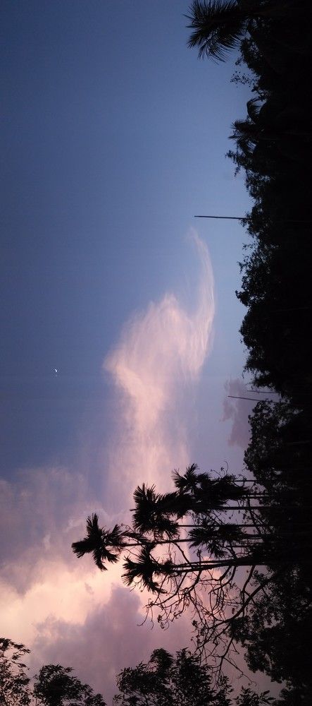 Ornamented Sky After Rain