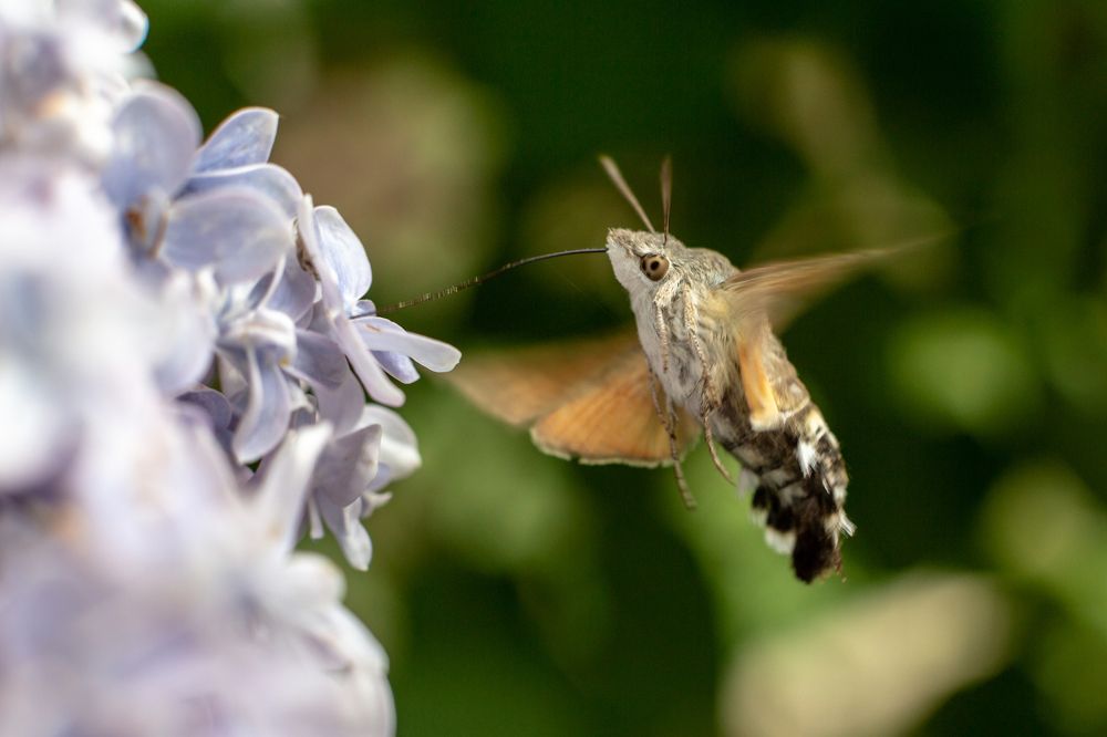 Photograph by Алексей Кашин