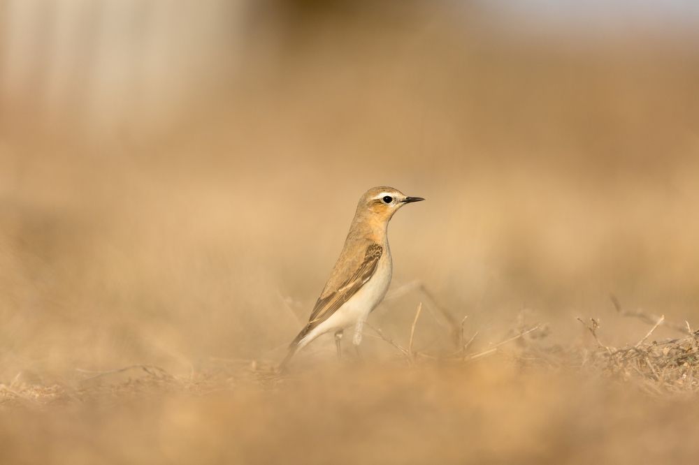 Photograph by Алексей Кашин