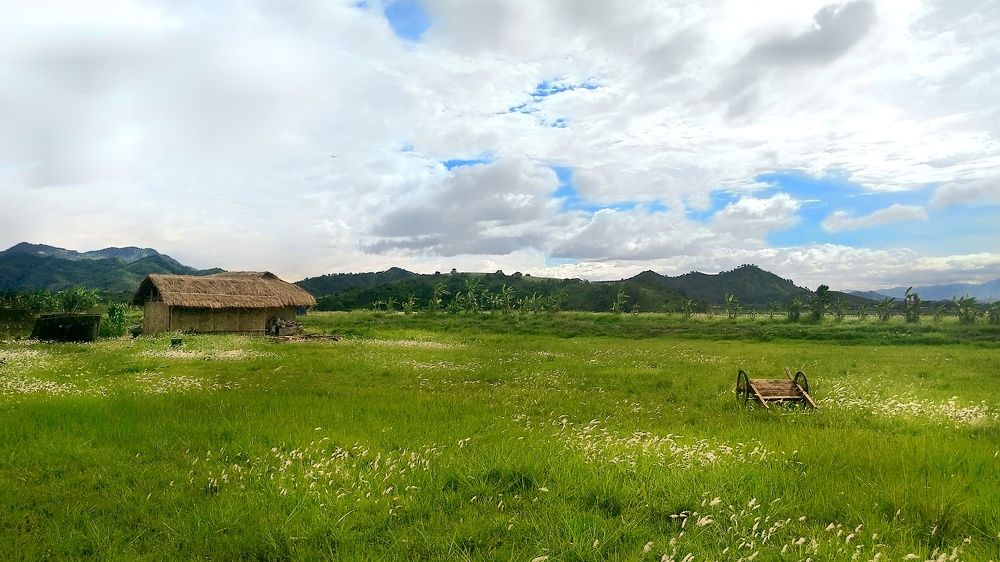 Way of life n nature is so different