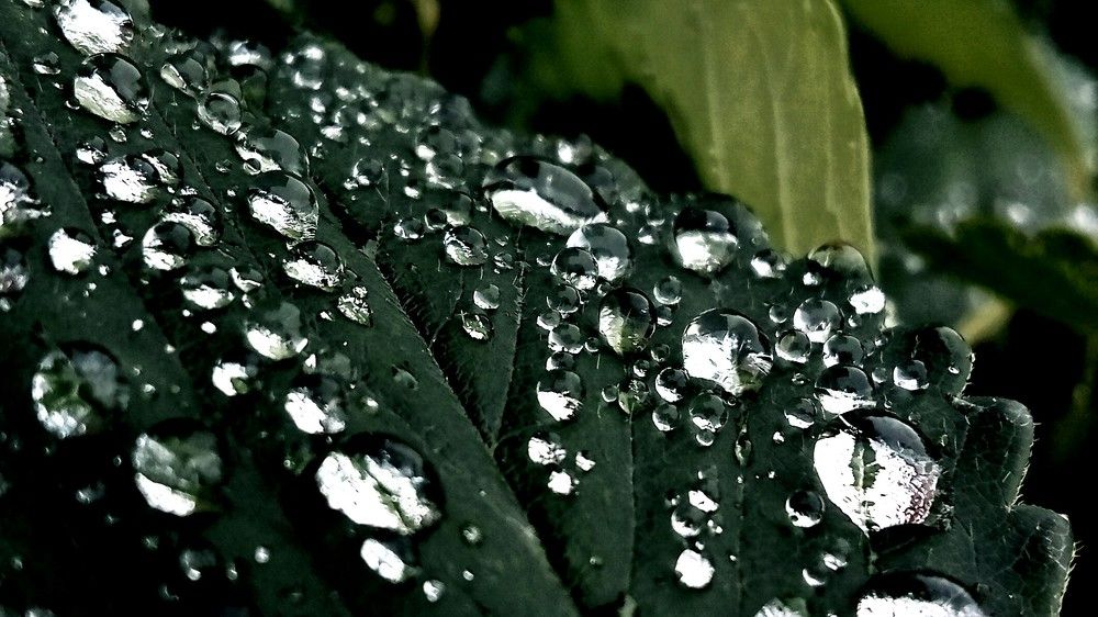 После дождя