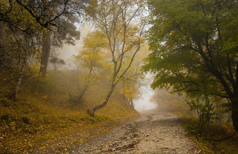 Photograph by makura