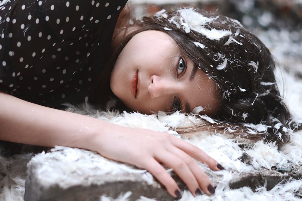 Упавшая птица