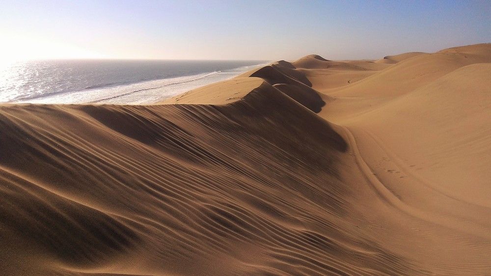 Безмолвие дюн. Там где пески встречаются с океаном.