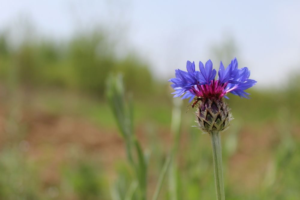 Photograph by Расул
