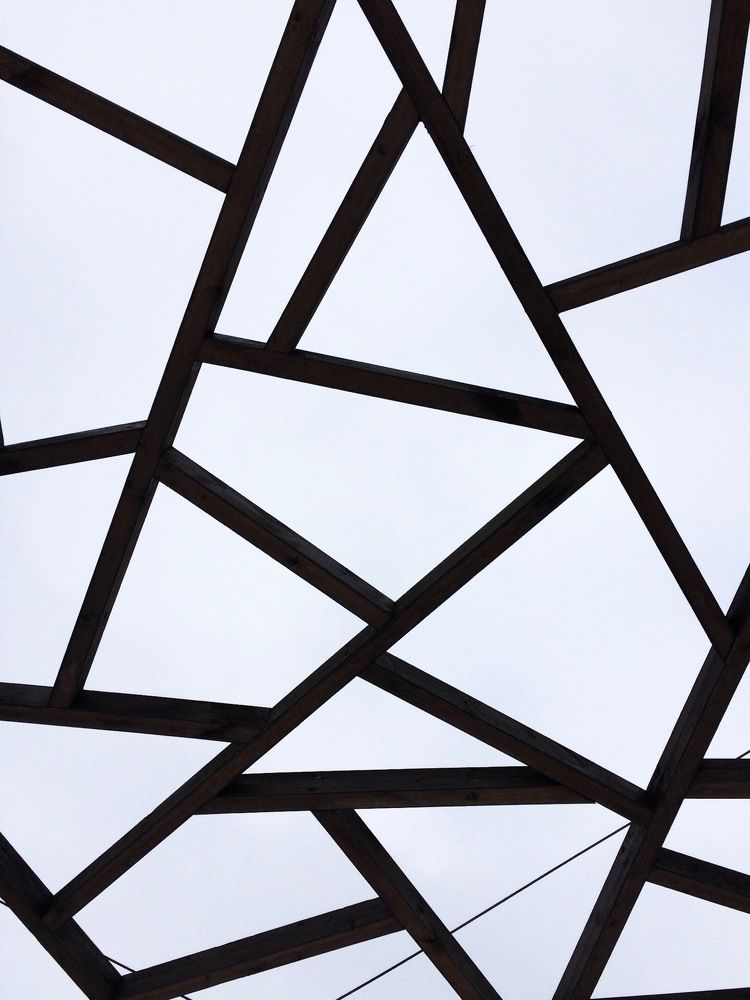 Остров птиц