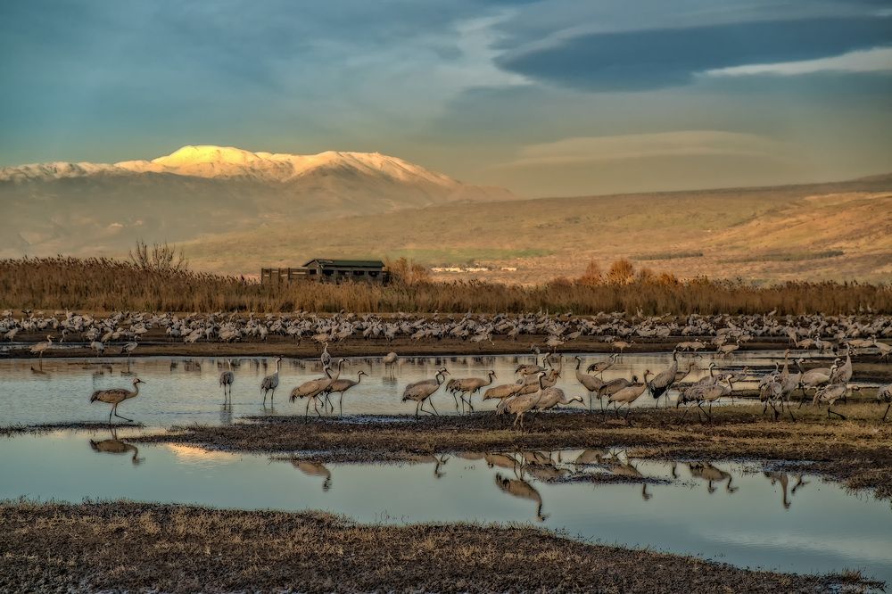 Вечер в заповеднике Хула