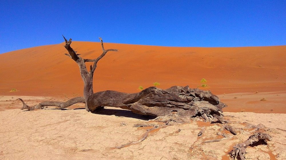 Неземной пейзаж Намибии