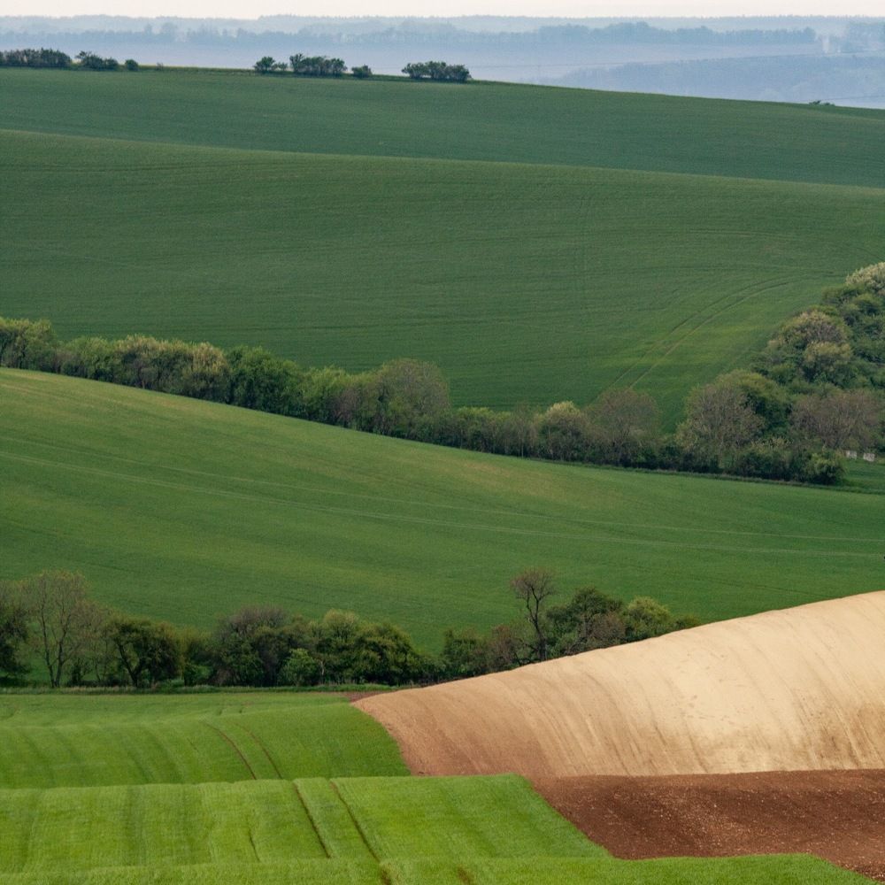 Одеяла для земли