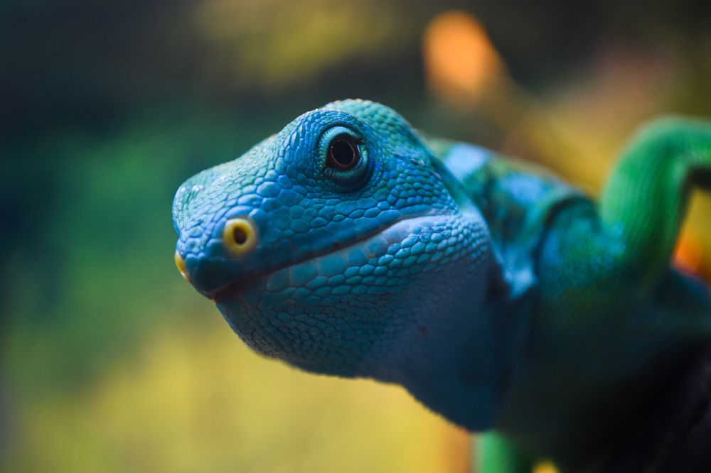 Photograph by Ярослав Гордиенко