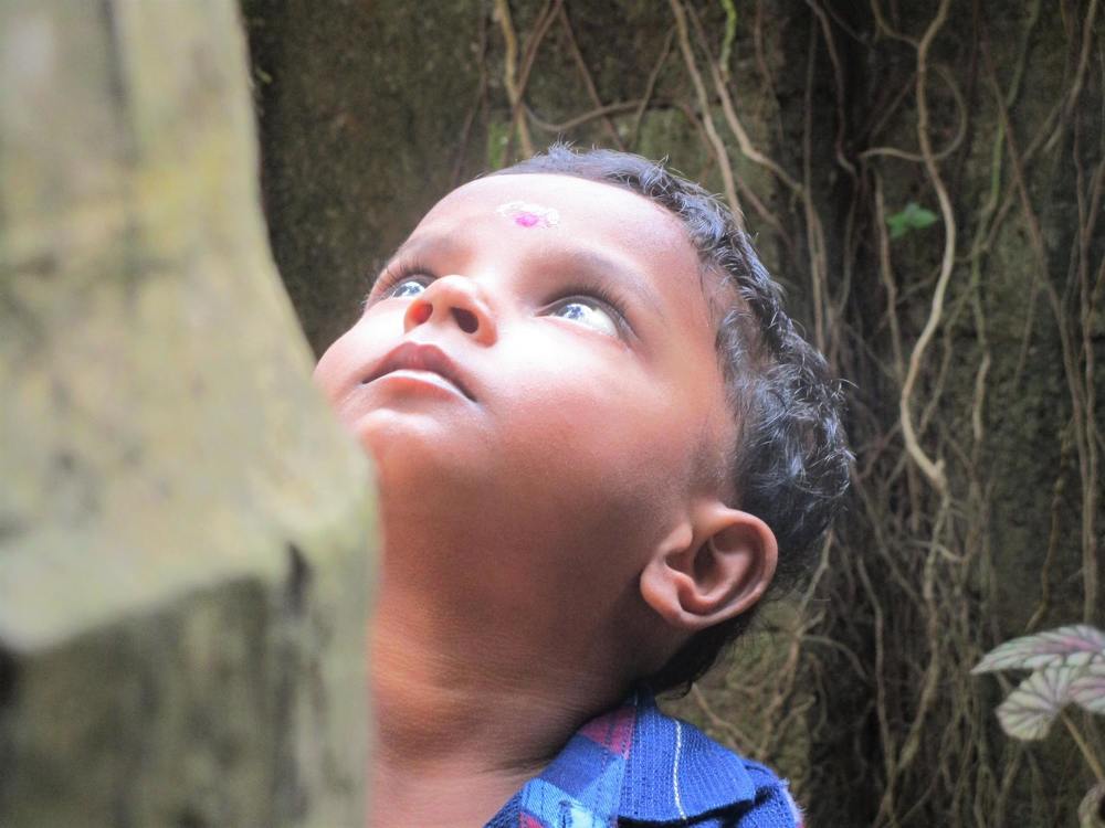 Observation