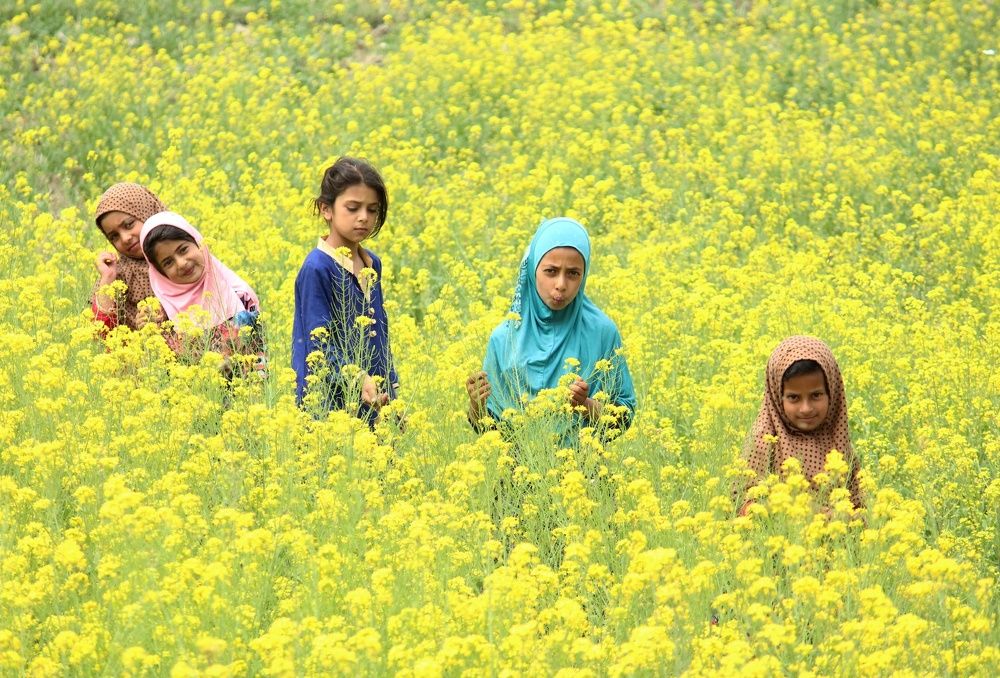 Children of kashmir.