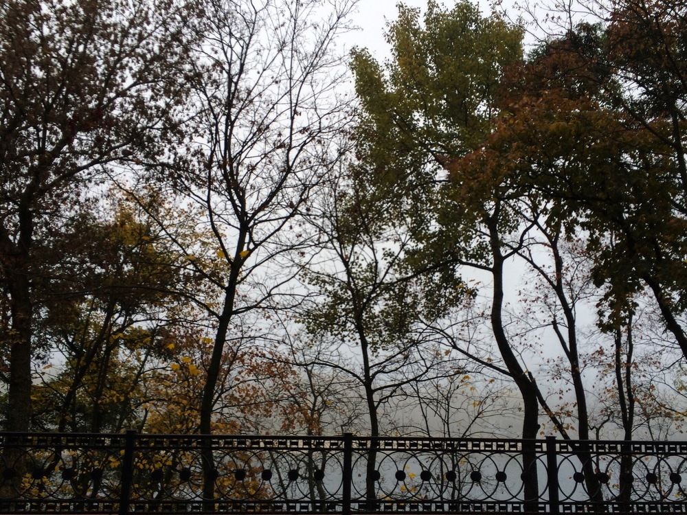 Осеннее утро