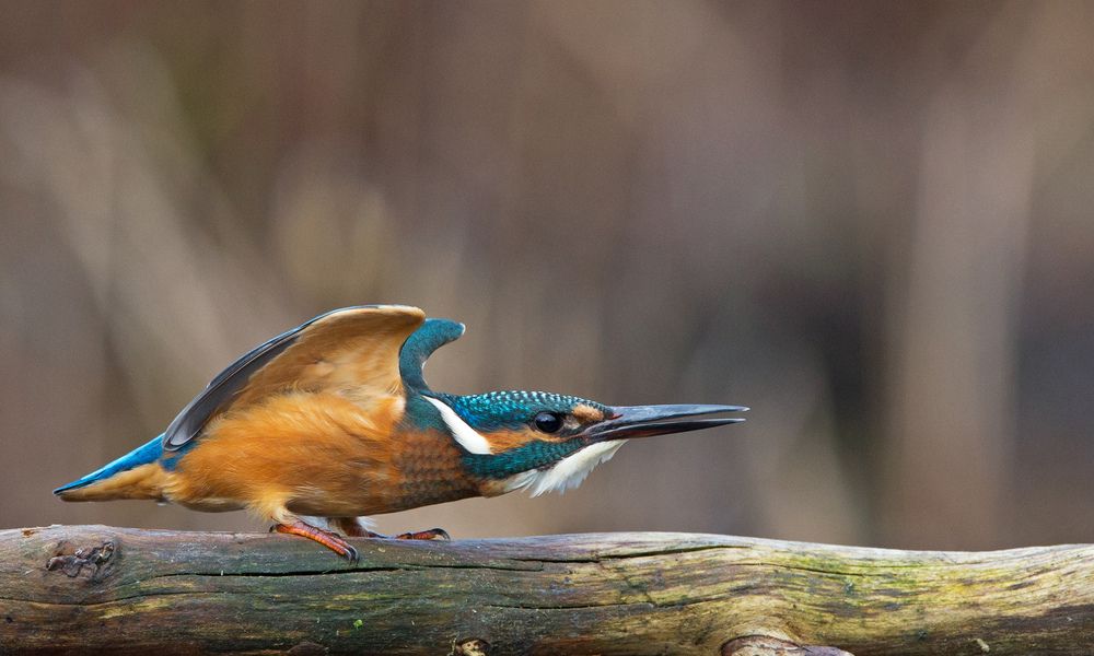 Photograph by Zita R. Gasiūnaitė