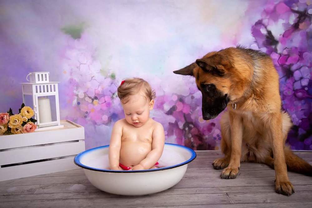 Photograph by Liz Bichacho buchi