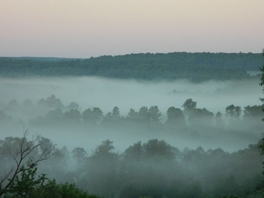 Photograph by Николай Николаев