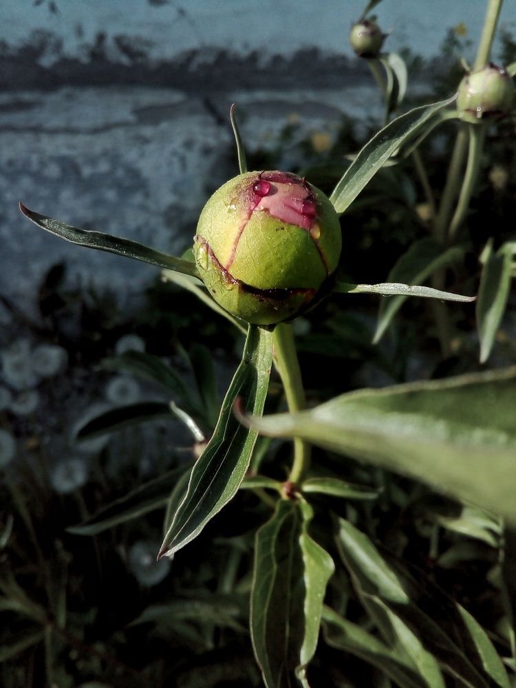 зарождение жизни