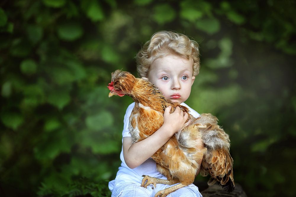 Курочка Ряба, давай с тобой дружить!