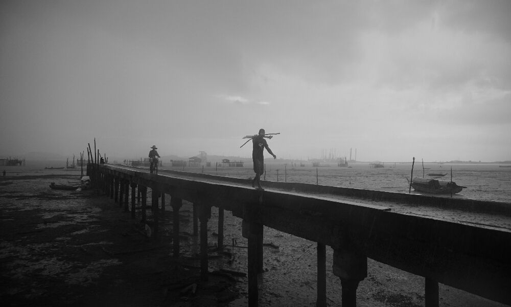 Pulang melaut