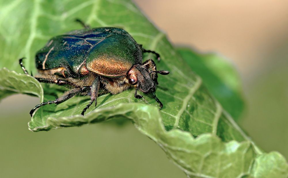 Photograph by Игорь Осипов