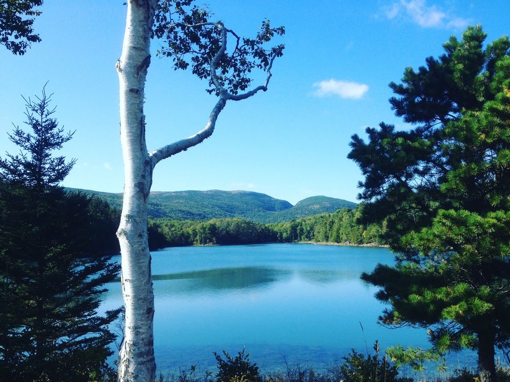 Acadia national park