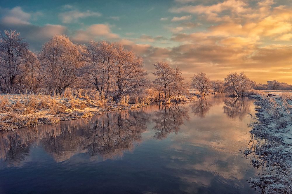 Årslev Engsø Wintertime