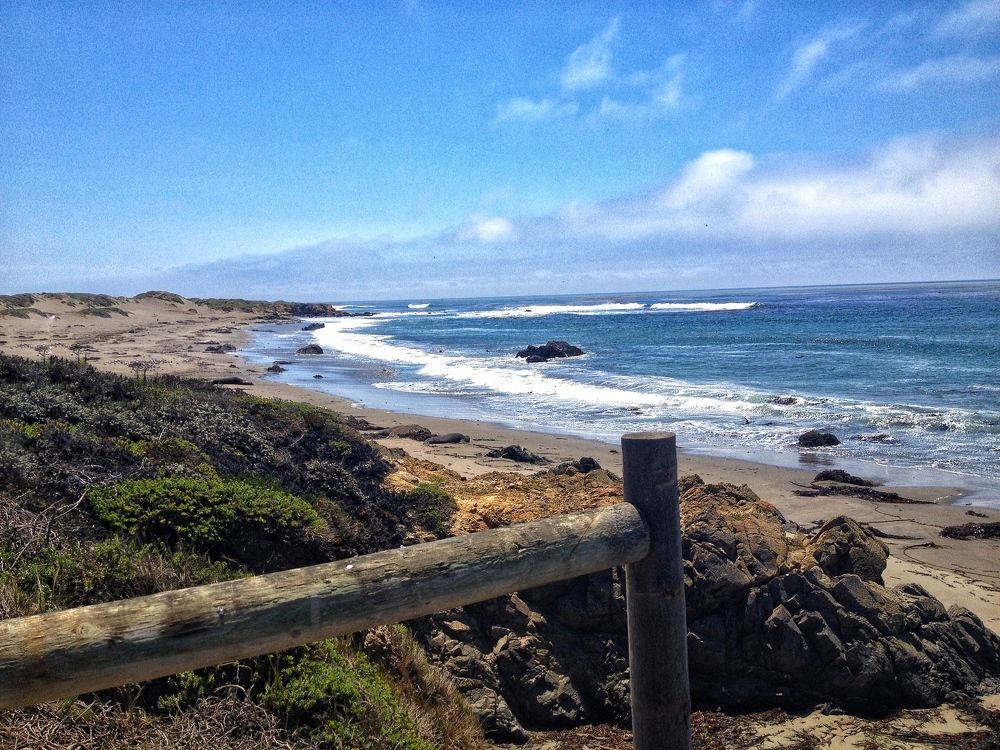 California dreamin