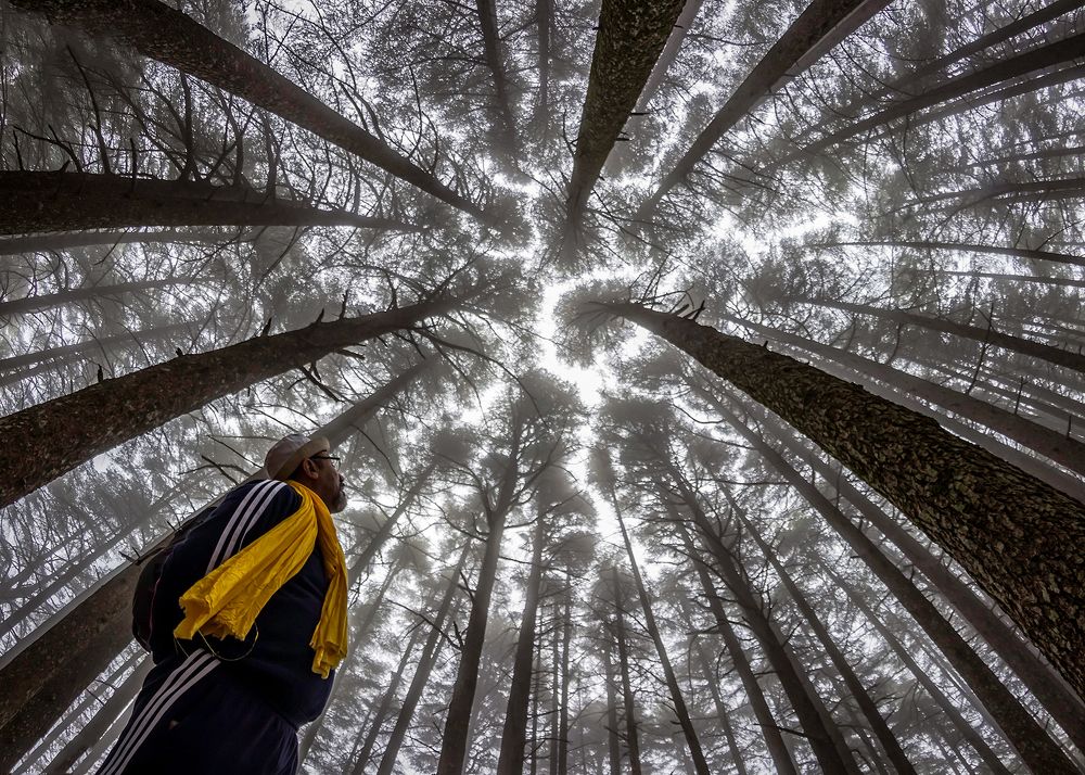 عظمة الخالق